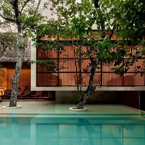 Jungle Keva & Venue Villa Tulum